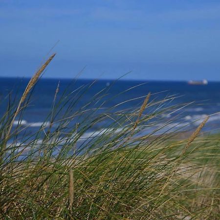 De Blaauboer, Vakantiehuisje Egmond aan Zee Eksteriør billede