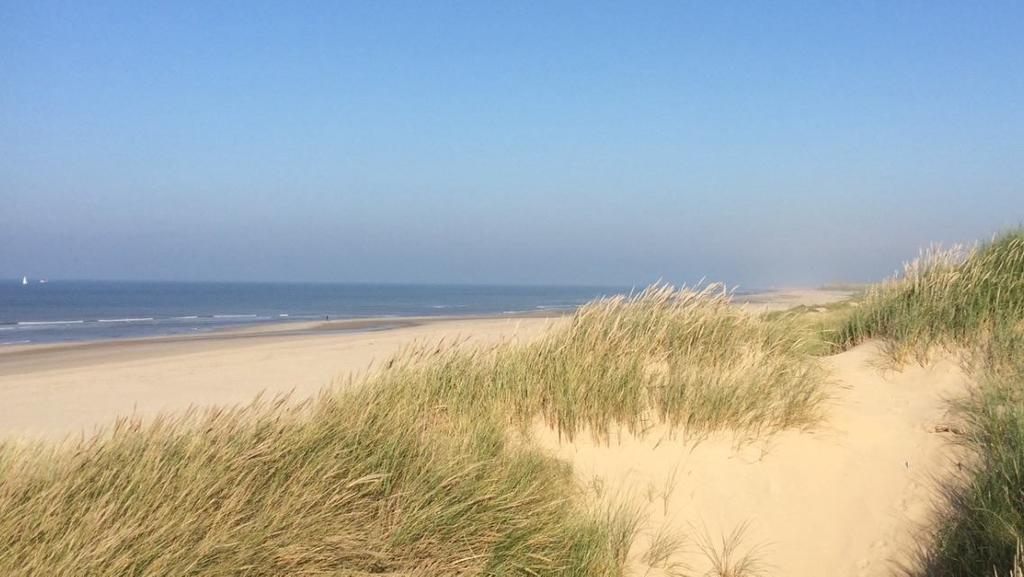 De Blaauboer, Vakantiehuisje Egmond aan Zee Værelse billede