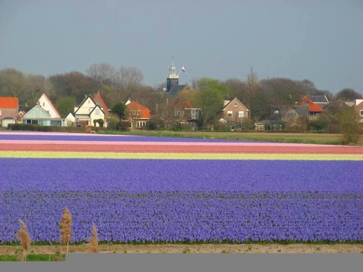 De Blaauboer, Vakantiehuisje Egmond aan Zee Værelse billede