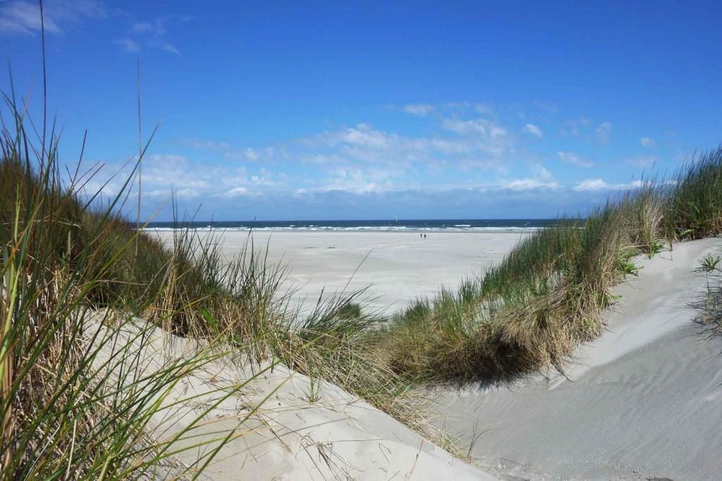 De Blaauboer, Vakantiehuisje Egmond aan Zee Værelse billede