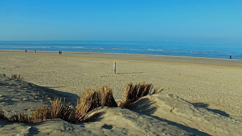 De Blaauboer, Vakantiehuisje Egmond aan Zee Eksteriør billede