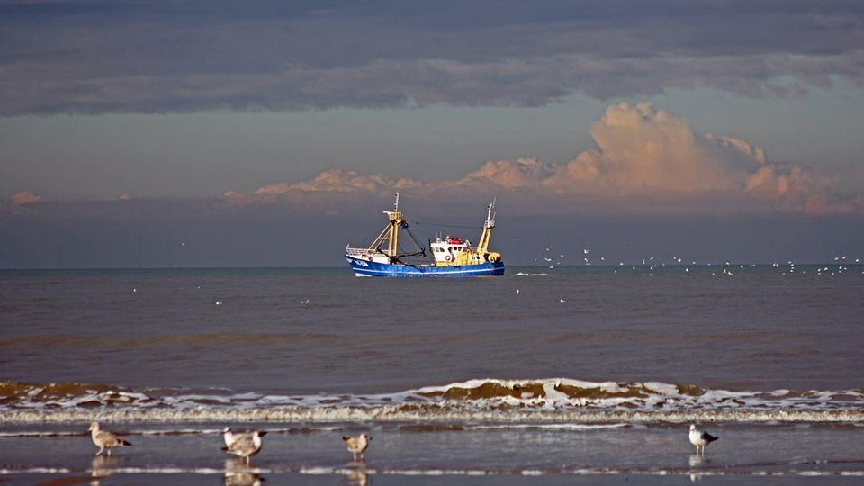 De Blaauboer, Vakantiehuisje Egmond aan Zee Eksteriør billede