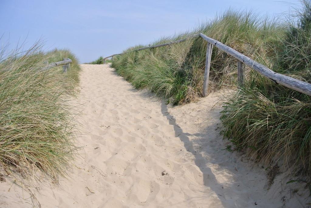 De Blaauboer, Vakantiehuisje Egmond aan Zee Værelse billede