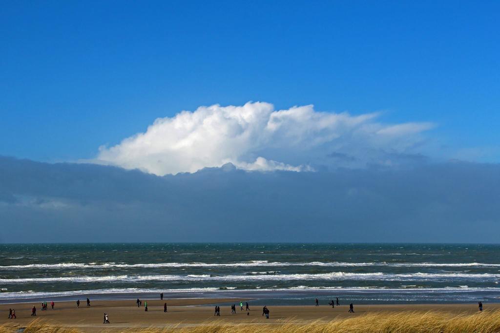 De Blaauboer, Vakantiehuisje Egmond aan Zee Eksteriør billede