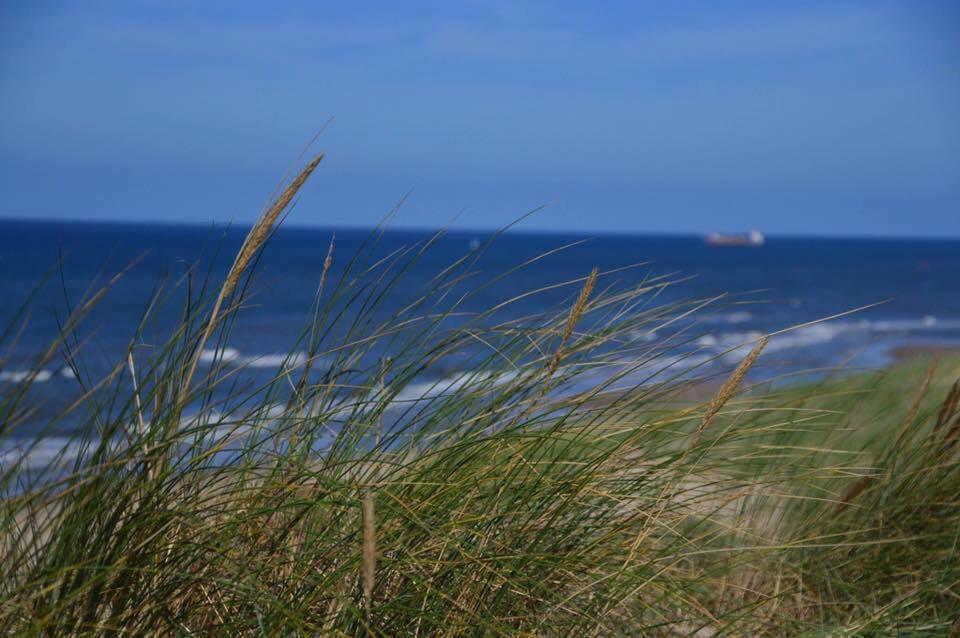 De Blaauboer, Vakantiehuisje Egmond aan Zee Eksteriør billede